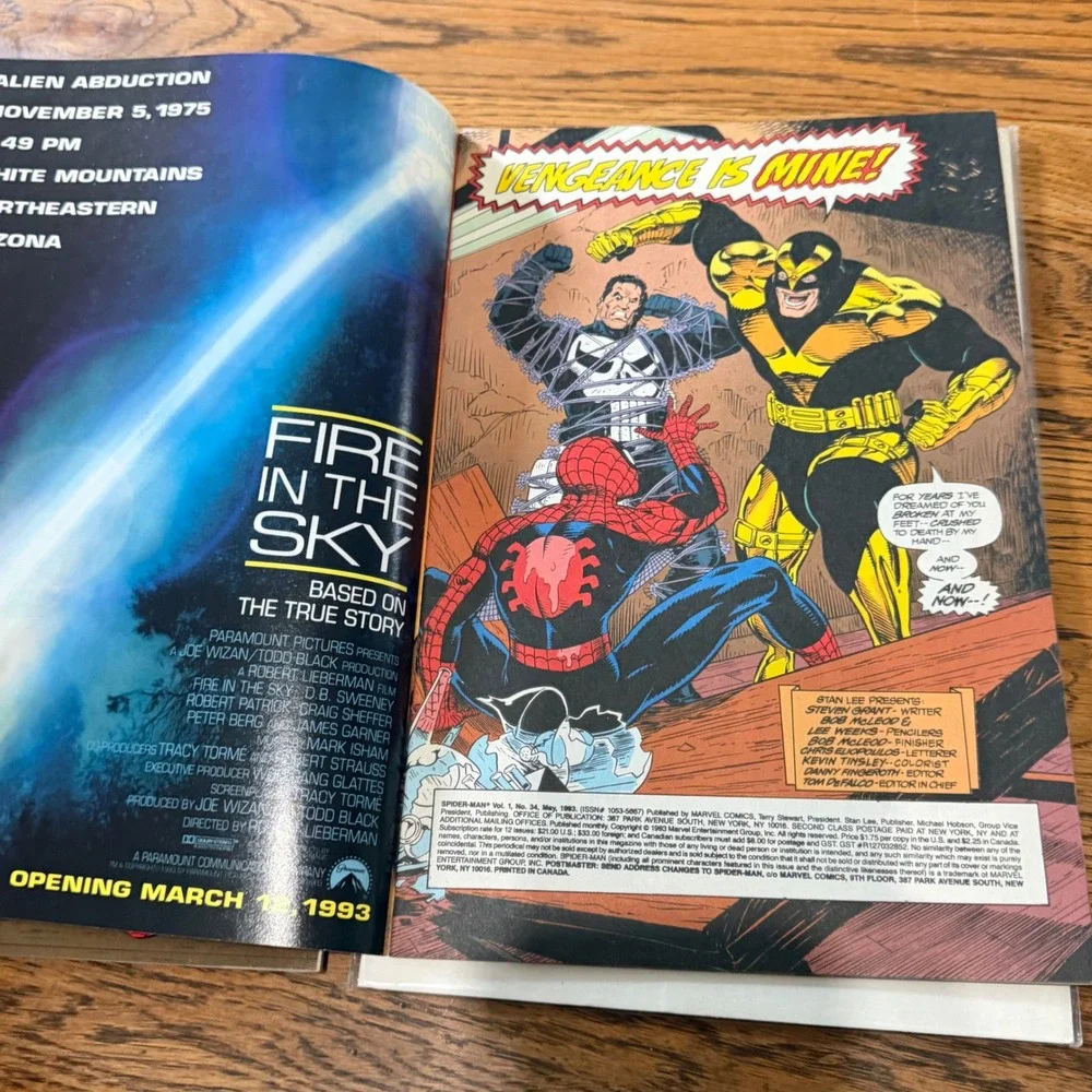 Spider-Man 33 34 Marvel Comics 1993 Punisher Vengeance Newsstand Edition Set